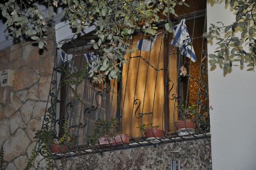tn_DSC_0066