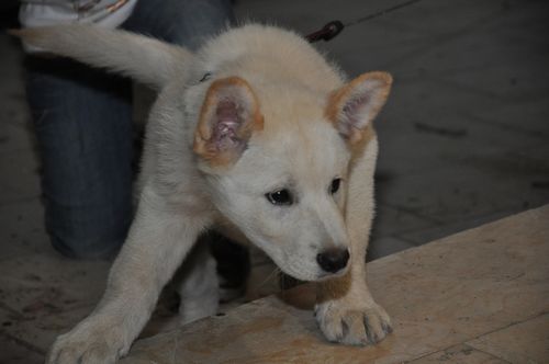 tn_DSC_0153