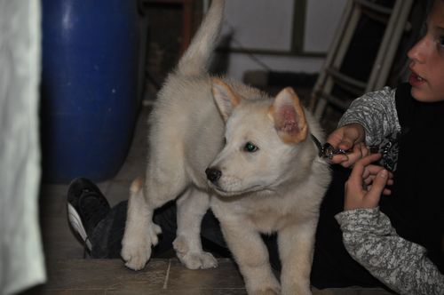 tn_DSC_0180