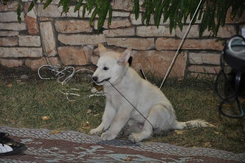 tn_DSC_0191