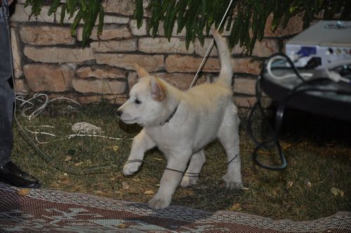 tn_DSC_0194