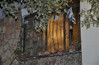 tn_DSC_0066