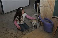 tn_DSC_0150