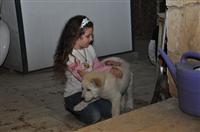 tn_DSC_0151