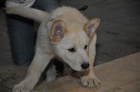 tn_DSC_0153