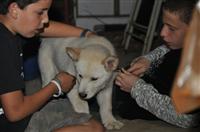 tn_DSC_0181