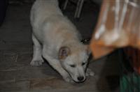 tn_DSC_0182