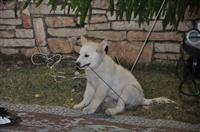 tn_DSC_0191