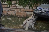 tn_DSC_0192