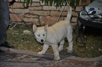 tn_DSC_0193
