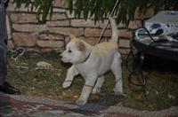 tn_DSC_0194